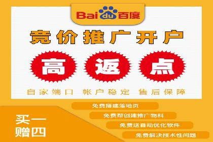案例对比：不同竞价推广策略的优劣分析
